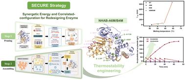 Computational thermostability engineering of a nitrile hydratase using synergetic energy and correlated configuration for redesigning enzymes (SECURE) strategy†