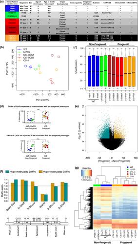 Epigenomic signature of accelerated ageing in progeroid Cockayne syndrome