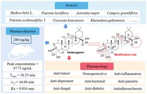 Pharmacological overview of hederagenin and its derivatives
