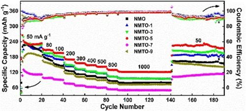 Improvements in the Electrochemical Performance of Sodium Manganese Oxides by Ti Doping for Aqueous Mg-Ion Batteries