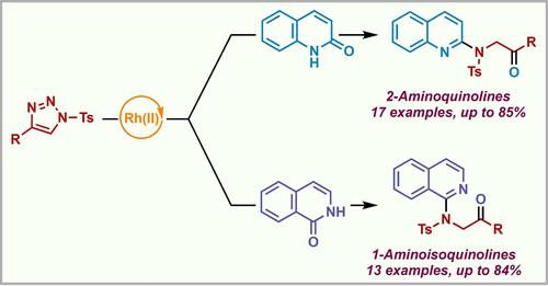 Rh(II)-Catalyzed Denitrogenative Reaction of N-Sulfonyl-1,2,3-triazoles with Quinolones and Isoquinolones