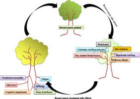 An update on breast cancer chemotherapy-associated toxicity and their management approaches