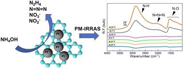 Unveiling the particle size effect and surface reactivity of Pt/C nanoparticles for ammonia electrooxidation using in situ infrared spectroscopy†