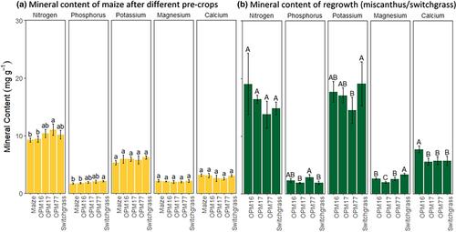 Integrating perennial biomass crops into crop rotations: How to remove miscanthus and switchgrass without glyphosate