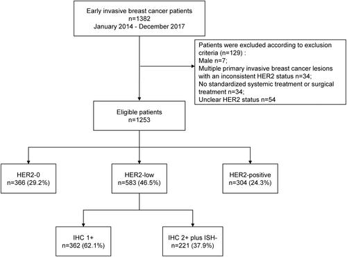 Analysis of clinicopathological characteristics and prognostic factors of early-stage human epidermal growth factor receptor 2 (HER2)-low breast cancer: Compared with HER2-0 breast cancer