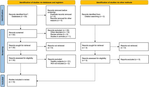 The role of the cerebellum in internet gaming disorder—A systematic review