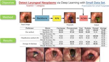 Identifying Laryngeal Neoplasms in Laryngoscope Images via Deep Learning Based Object Detection: A Case Study on an Extremely Small Data Set