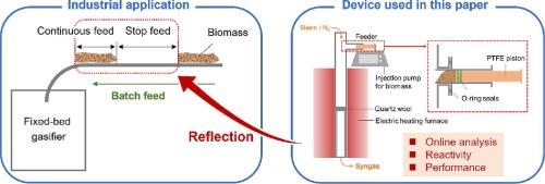 Reactivity and performance of steam gasification during biomass batch feeding