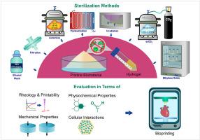 Effect of sterilization techniques on biomaterial inks’ properties and 3D bioprinting parameters