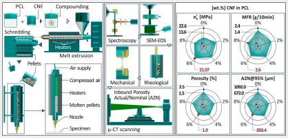 Optimized PCL/CNF bio-nanocomposites for medical bio-plotted applications: Rheological, structural, and thermomechanical aspects