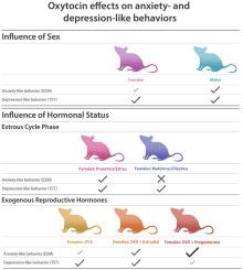 Sex and hormonal status influence the anxiolytic-like effect of oxytocin in mice