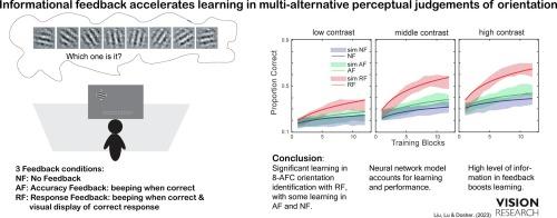 Informational feedback accelerates learning in multi-alternative perceptual judgements of orientation