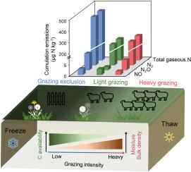 Light grazing reduces gaseous nitrogen emissions from temperate grassland soils during freeze‒thaw cycles: An intact core incubation study