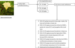 Sub-chronic (Ninety Days) Toxicity Study of Hydroethanolic Leaf Extract of Datura stramonium L. in Rodents