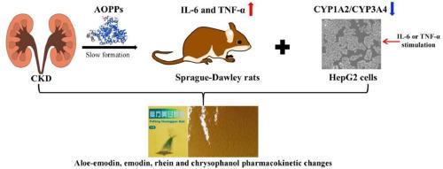 Advanced Oxidation Protein Products Regulate the Pharmacokinetics of Aloe-emodin, Emodin, Rhein, and Chrysophanol in Chronic Kidney Disease Rats