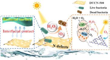 Modulation of ultrathin nanosheet structure and nitrogen defects in graphitic carbon nitride for efficient photocatalytic bacterial inactivation