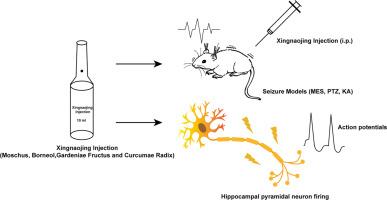 Anticonvulsant Effect of Xingnaojing Injection on Acute Seizure Models in Mice