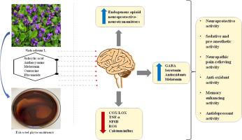 Protection of Viola odorata L. against Neurodegenerative Diseases: Potential of the Extract and Major Phytoconstituents