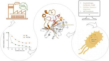 Rational design engineering of a more thermostable Sulfurihydrogenibium yellowstonense carbonic anhydrase for potential application in carbon dioxide capture technologies