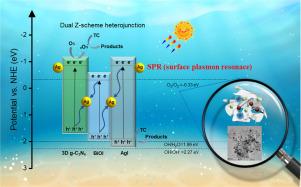 Novel Ag-bridged dual Z-scheme g-C3N4/BiOI/AgI plasmonic heterojunction: Exceptional photocatalytic activity towards tetracycline and the mechanism insight