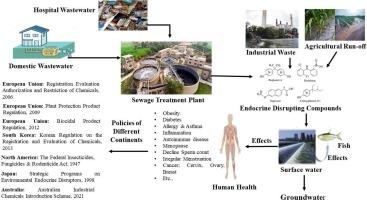 Overview of sources, fate, and Impact of Endocrine Disrupting Compounds in environment and assessment of their Regulatory Policies across different Continents