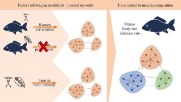 Modularity in host-parasite mixed networks: interaction configuration shifts based on human perturbation and parasitism form