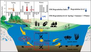 Amino acids as indicators of seasonal variations in organic matter degradation in surface sediments from a shallow lake