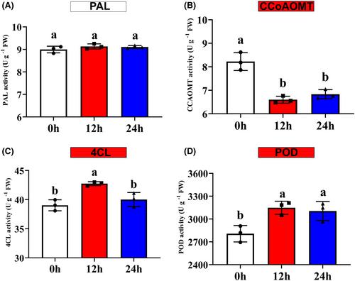 Analysis of the transcriptome and metabolome reveals phenylpropanoid mechanism in common bean (Phaseolus vulgaris) responding to salt stress at sprout stage