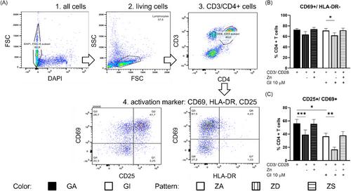 Zinc Modulates Glutamine Metabolism in T Cells