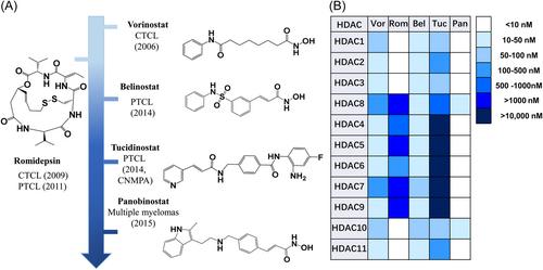 Applications of macrocyclic molecules in cancer therapy: Target cancer development or overcome drug resistance