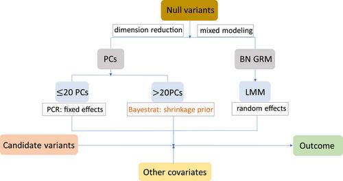 Population stratification correction using Bayesian shrinkage priors for genetic association studies