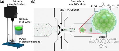 Multichamber PLGA Microparticles with Enhanced Monodispersity and Encapsulation Efficiency Fabricated by a Batch-Microfluidic Hybrid Approach