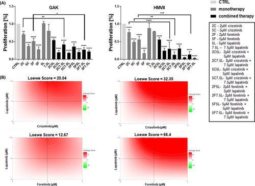 Combinations of EGFR and MET inhibitors reduce proliferation and invasiveness of mucosal melanoma cells