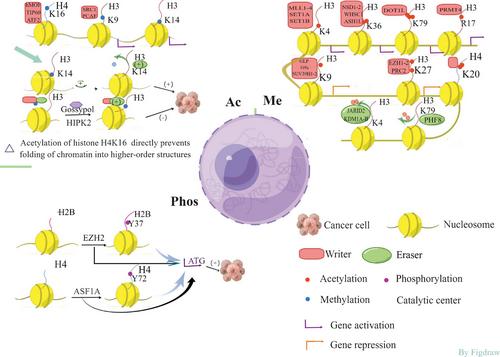 Histone modification: Biomarkers and potential therapies in colorectal cancer