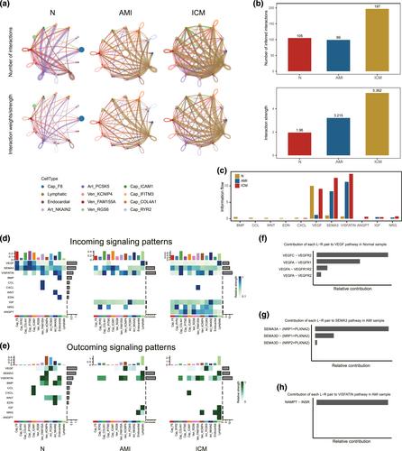 Uncovering the heterogeneity and cell fate decisions of endothelial cells after myocardial infarction by single-cell sequencing