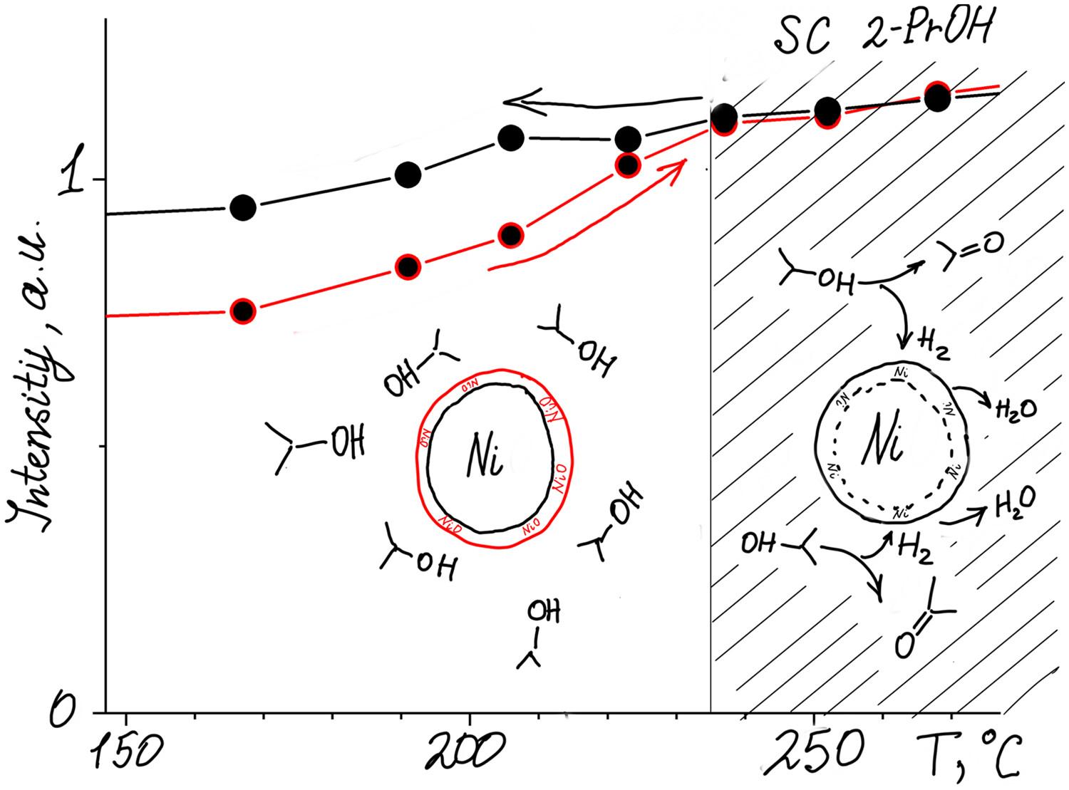 Reactivation of Ni-TiO2 catalysts in hydrogen flow and in supercritical 2-propanol—Comparative study by electron spin resonance in situ