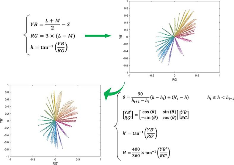 Fundamental scales of hue appearance and discrimination