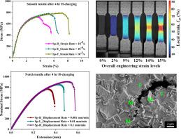 Local strain evolution and microstructural characterisation of hydrogen-induced damage at different strain rates in dual phase (DP 780) steel