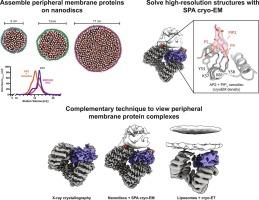 Lipid nanodiscs as a template for high-resolution cryo-EM structures of peripheral membrane proteins