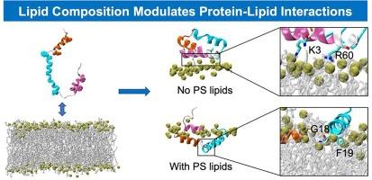 Lipid composition modulates interactions of p7 viroporin during membrane insertion