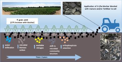 Exploring the effects of one-time biochar application with low dosage on soil health in temperate climates