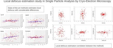 Local defocus estimation in single particle analysis in cryo-electron microscopy