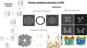 A new algorithm for particle weighted subtraction to decrease signals from unwanted components in single particle analysis