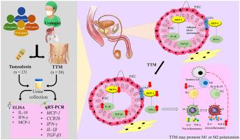 Thai traditional massage modulates urinary MCP-1 and relevant inflammatory biomarkers in lower urinary tract symptom patients