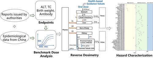 Health risk assessment of perfluorooctane sulfonate and perfluorooctanoic acid exposure in China based on epidemiological data