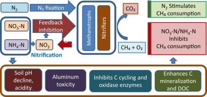 Methane consumption under the influence of different nitrogen sources in a tropical soil ecosystem