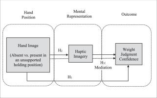 Conveying product weight in digital media using a hand image