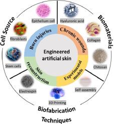 Engineered artificial skins: Current construction strategies and applications