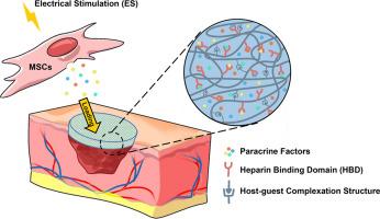 Heparinized PGA host-guest hydrogel loaded with paracrine products from electrically stimulated adipose-derived mesenchymal stem cells for enhanced wound repair