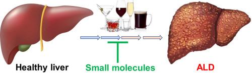 Small-molecule chemical probes for the potential therapeutic targets in alcoholic liver diseases